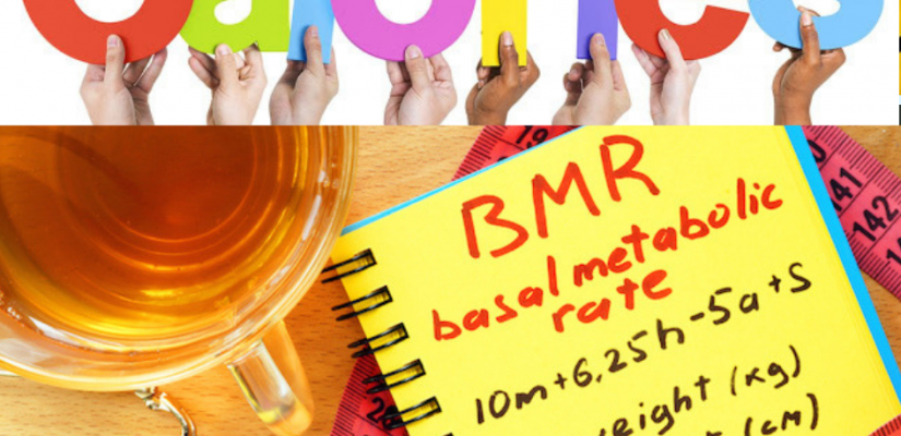 calories and BMR